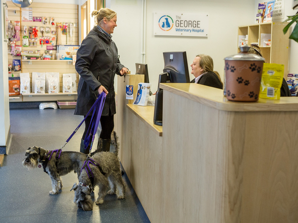 Requesting an appointment at The George Vets